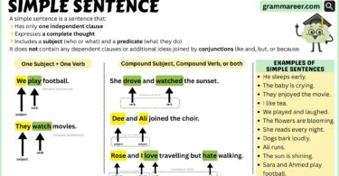 Simple Sentence: Usage and Examples