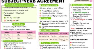 Subject-Verb Agreement rules with examples for learners