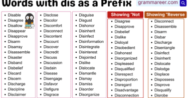 Words with Prefix of dis- meaning and function explained with examples