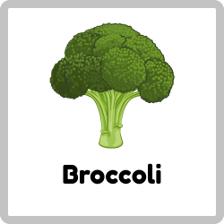 Broccoli