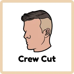 Crew Cut for Men