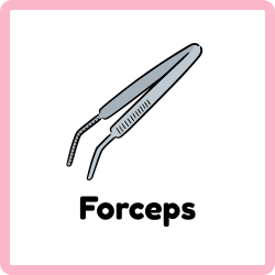 Forceps - Surgical Instruments