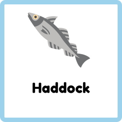 Haddock
