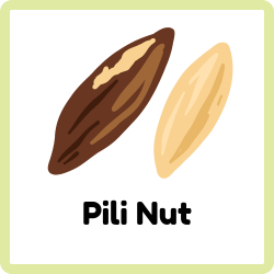 Pili Nut