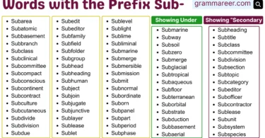 Prefix words sub in English with 100+ words list