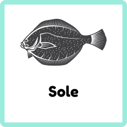 Sole | Fish Names