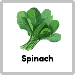 Spinach