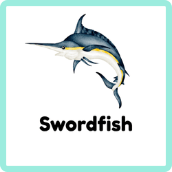 Swordfish