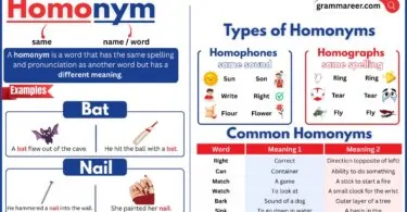 Homonyms chart showing words with the same spelling but different meanings