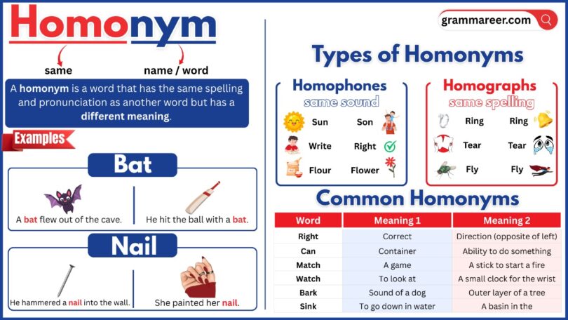 Homonyms chart showing words with the same spelling but different meanings