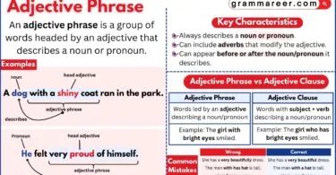 Adjective phrase describing a noun in a simple sentence.