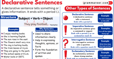 Declarative sentence types with correct and incorrect examples