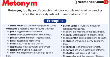 Metonym examples showing word connections in English.