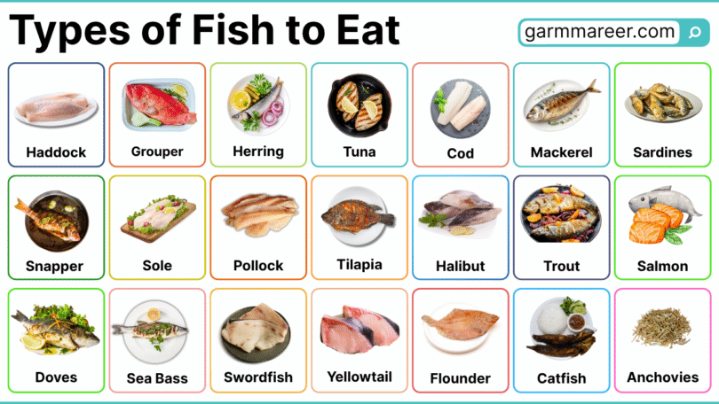 Types of Fish to Eat and their Health Benefits with Pictures