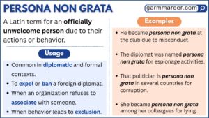 Persona Non Grata: Definition & Meaning - Grammareer
