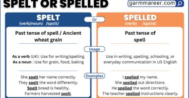 Examples of spelled vs spelt in sentences