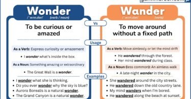 Comparison of wonder and wander with examples