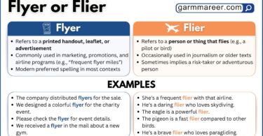 Flyer and flier usage examples