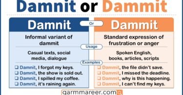 Damnit vs Dammit meaning explained