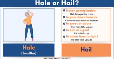 Hail or Hale difference with meaning and correct usage