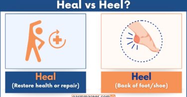 Heal vs Heel comparison with meanings and examples