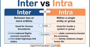 Inter vs Intra meaning explained with simple examples