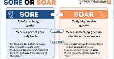 Example sentences showing how to use soar and sore correctly.