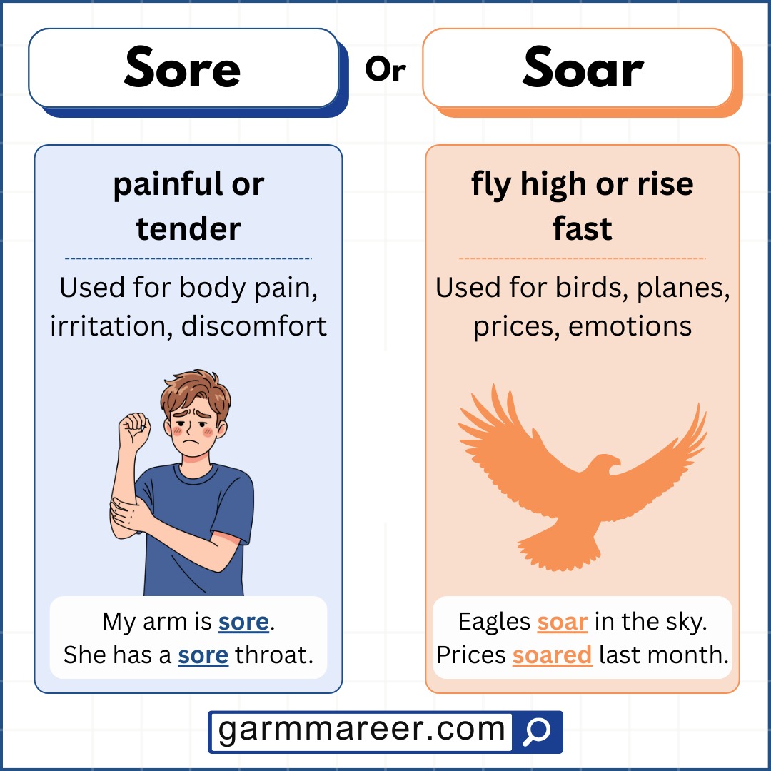 Difference between soar and sore with clear visuals.