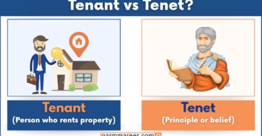Tenant vs Tenet – Difference and meaning