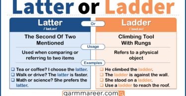 Latter and ladder explained with simple meanings side by side
