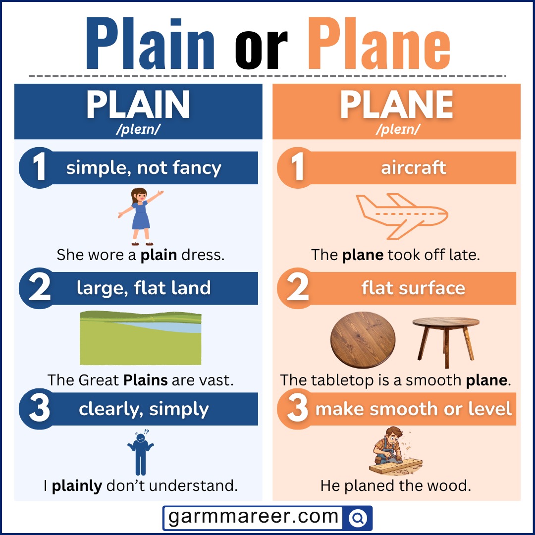 Examples showing how to use plain and plane correctly in sentences.
